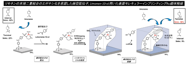 リモネンの末端二重結合の位置選択的エポキシ化反応を可能にした表面モレキュラーインプリンティングRu錯体触媒。