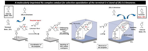 A preparation steps for the molecularly-imprinted Ru complex catalyst for selective epoxidation of the terminal C=C bond of (R)-(+)-limonene.